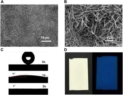 Visible-Light-Driven Photocatalytic Water Disinfection Toward Escherichia coli by Nanowired g-C3N4 Film
